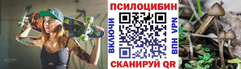 Псилоцибиновые грибы MAGIC MUSHROOMS  Карачаевск 